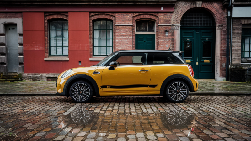 MINI enthüllt „A Garden of Curiosity“: Die Installation, die Autos in ein Kunstwerk verwandelt – verpassen Sie das nicht!