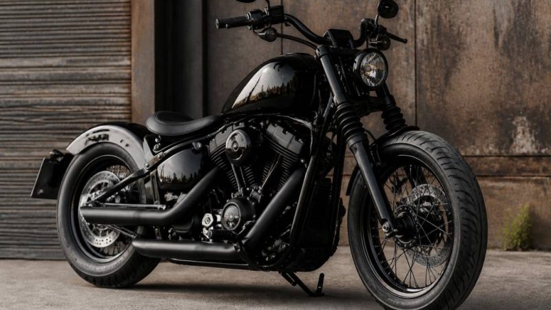 1200 custom harley: alles über umbau, wartung und tuning
